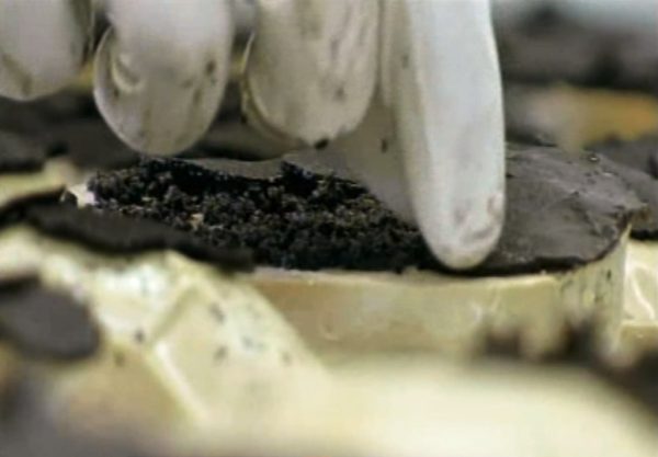 Marbré de foie gras à la truffe 10 % – Image 4