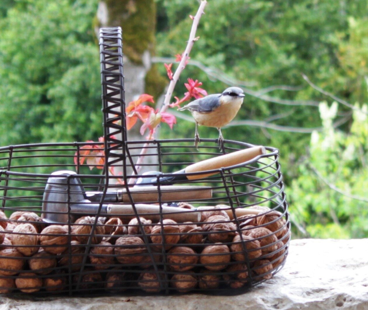 Coffret Séjour Nature – Image 10