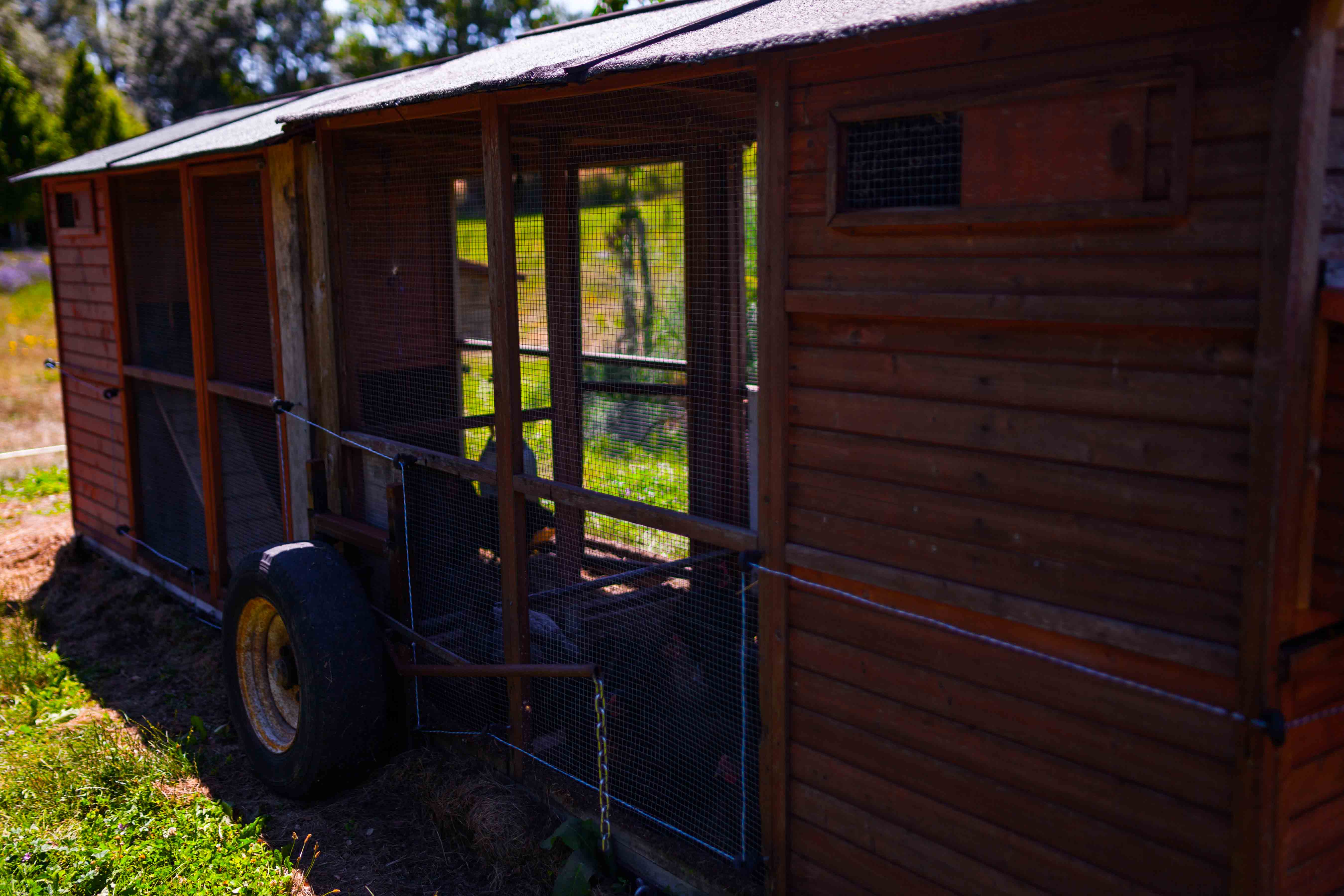 Le Poulailler Mobile Domaine De Saint Géry