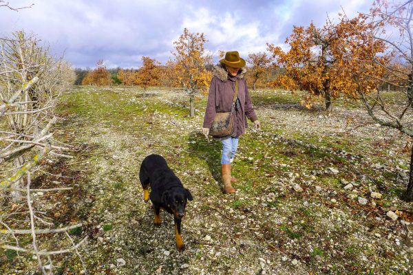 Pelures de Truffes – Image 2