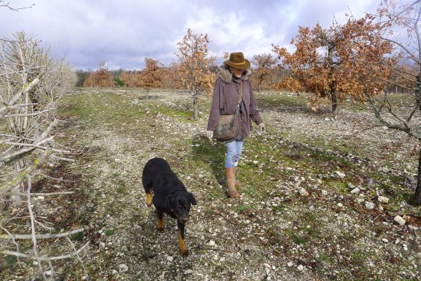 Truffes paysage