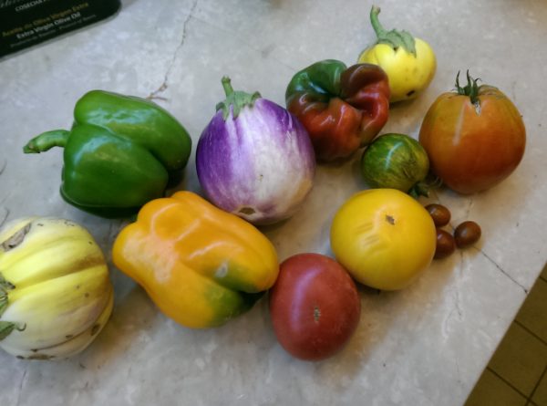 Ratatouille bio du domaine – Image 7