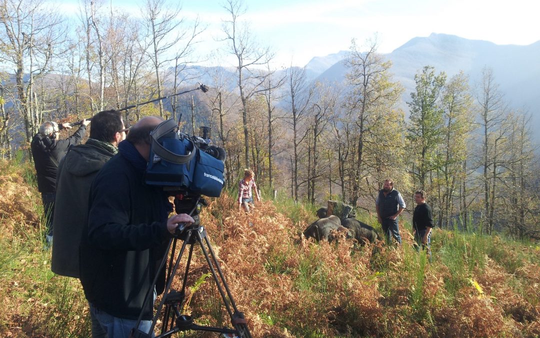 France 3 Grand soir / 13H : Un jambon du Lot devient le meilleur jambon du monde