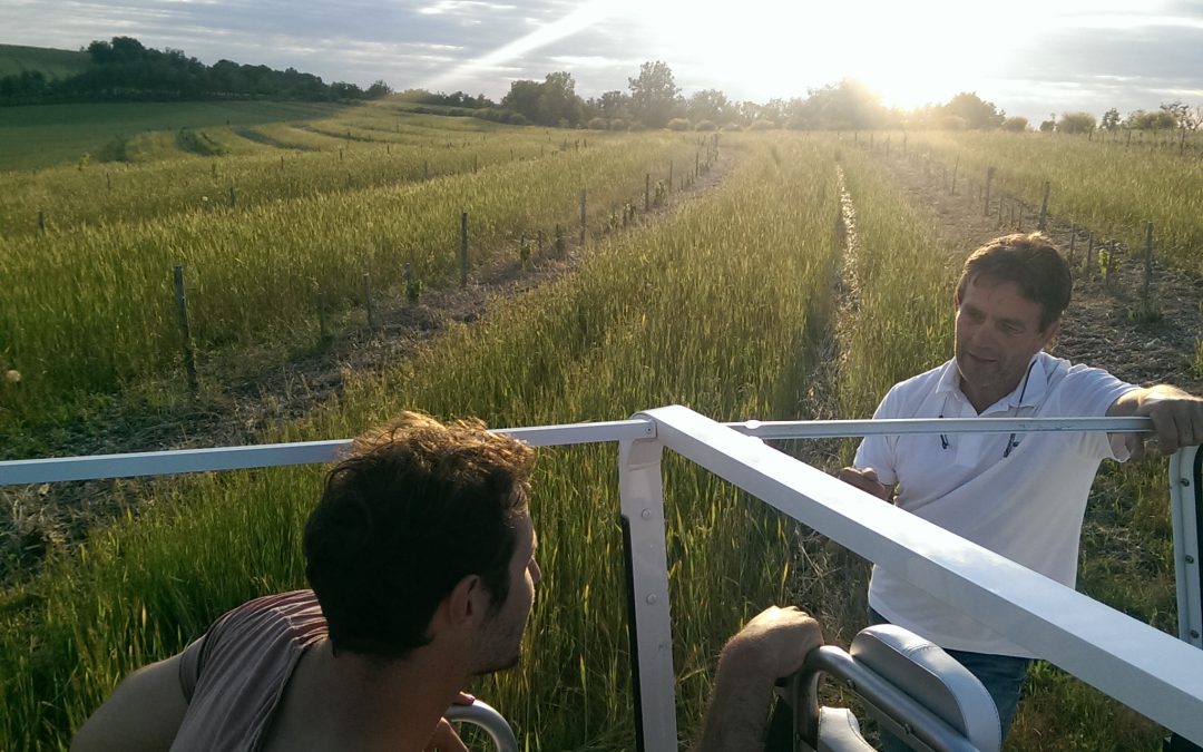 Les Explorateurs du Goût sur France 5