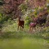 Coffret Séjour Nature – Image 10