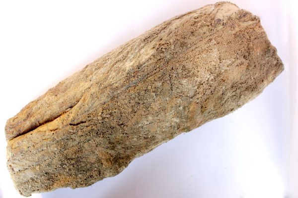 La Copa Échine de Porc Gascon Affinée – Image 5