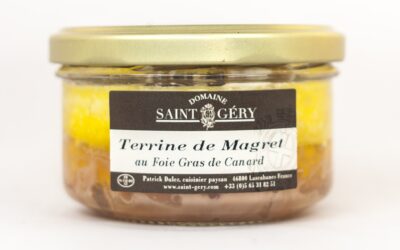 L'erreur qui en dit long