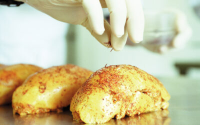 Pourquoi le foie gras d’oie…