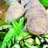 Saucisson de magret de canard au foie gras
