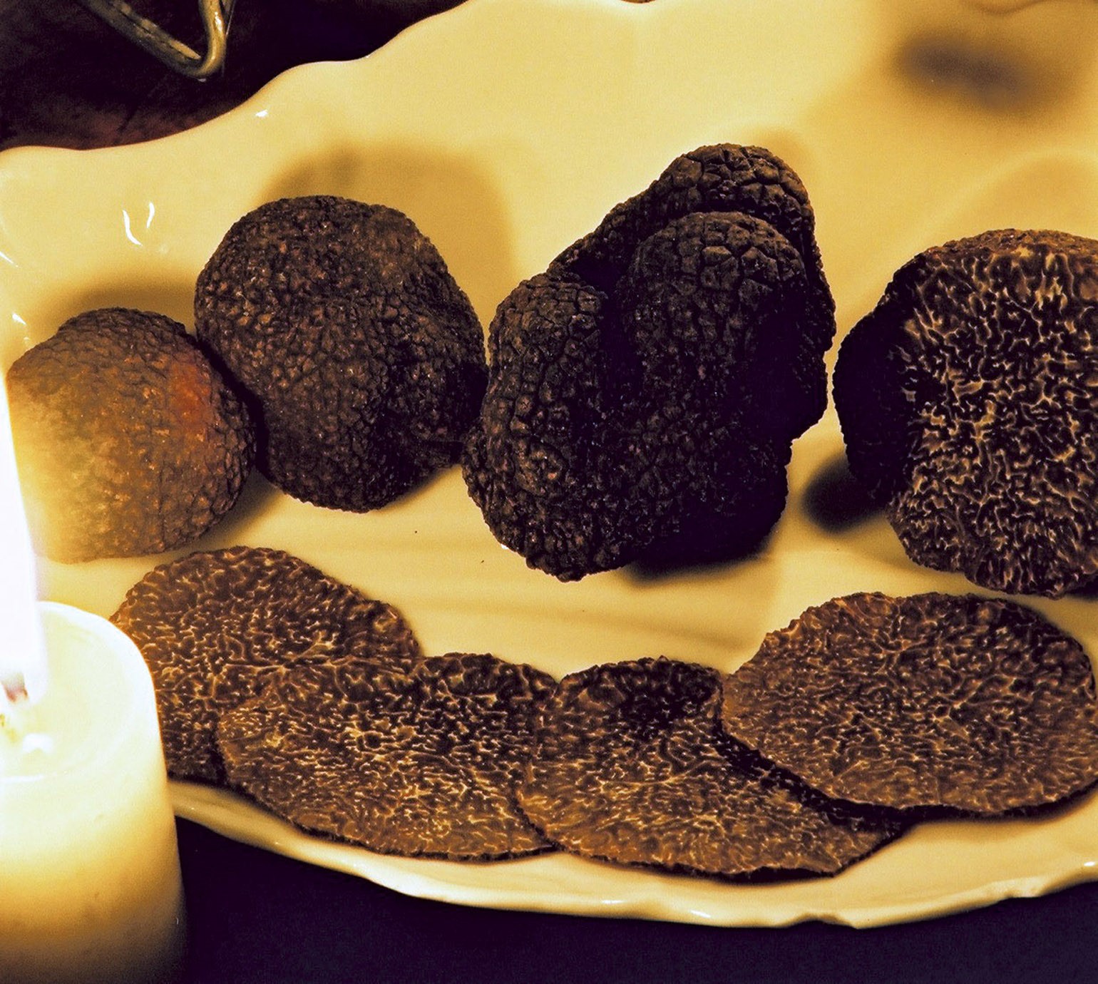 Truffe noire fraîche Tuber Melanosporum