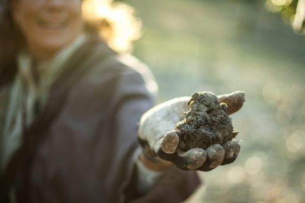 Séjour Découverte de la Truffe – Image 9
