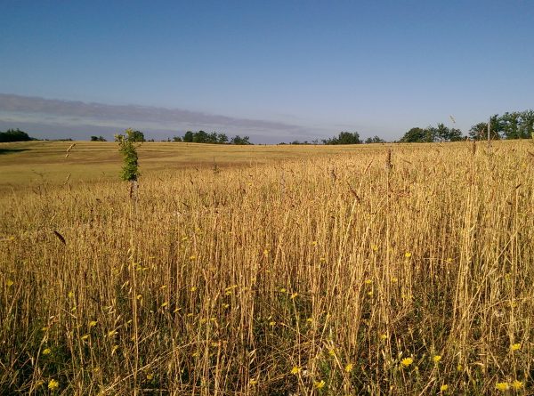 Séjour Faire son Pain bio au levain indigène – Image 6