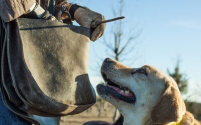 Tout l'or du Monde ?