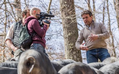 France 5 - Le Doc du Dimanche - Mars 2020