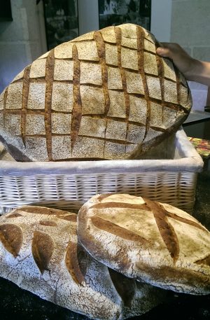 Pain bio au levain à la farine de blé truffier