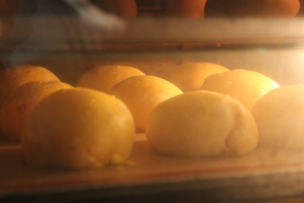 Séjour Faire la Brioche au saindoux et ses dérivés salés et sucrés – Image 8