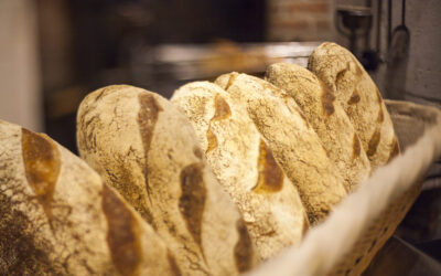 Faire un bon pain en 5 minutes par jour : vraiment ?