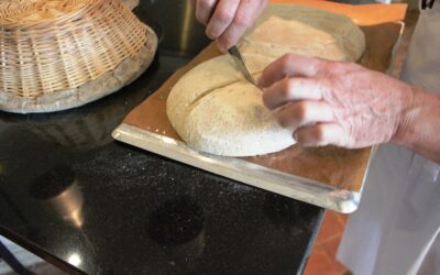Le gluten : vrai responsable des intolérances ?