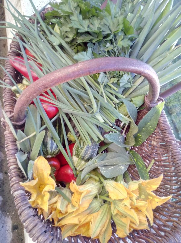 Ratatouille bio du domaine – Image 11