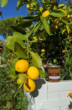 Citron