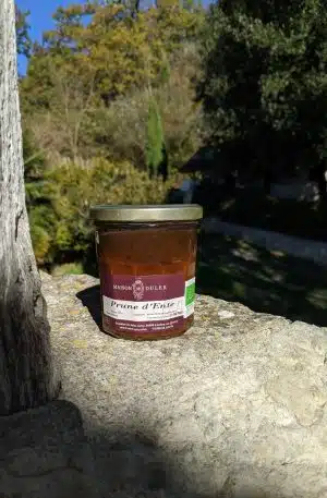 Prune d'ente