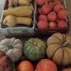 Soupe de citrouille bio – Image 6