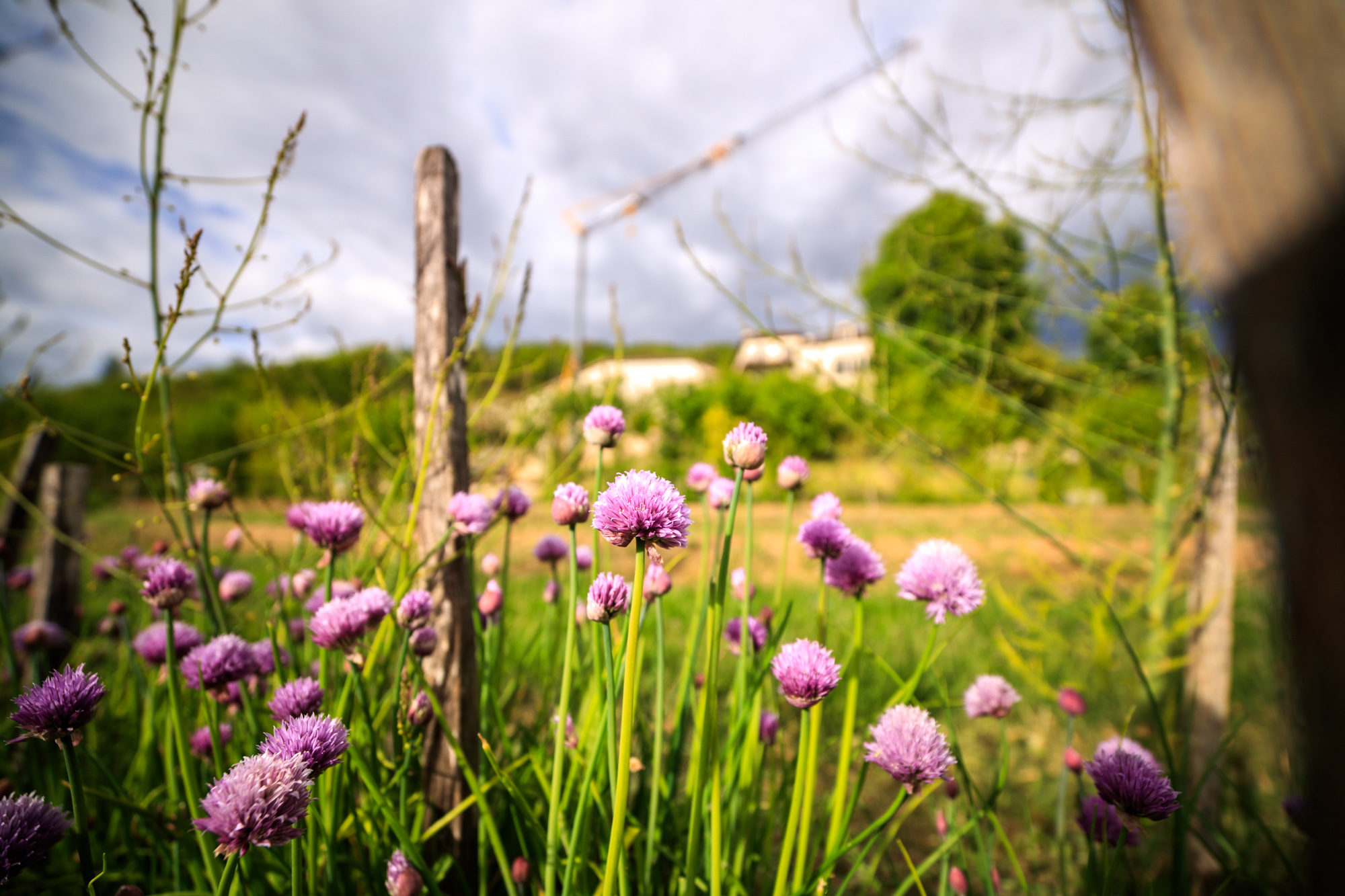 Coffret Séjour Nature – Image 32