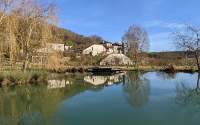 Vous êtes trop cher