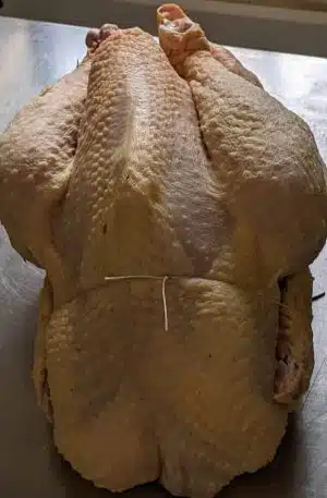 Le chapon loupé de Nicolas