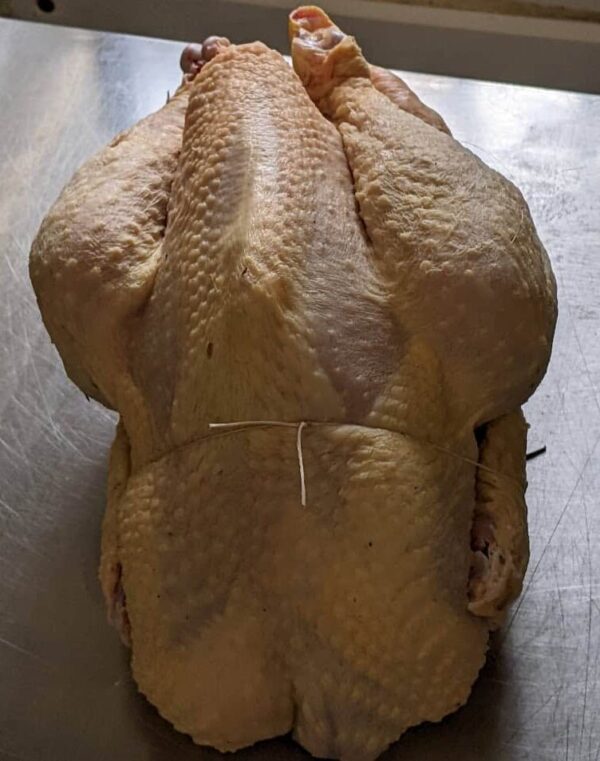 Le poulet de Nicolas – Image 2