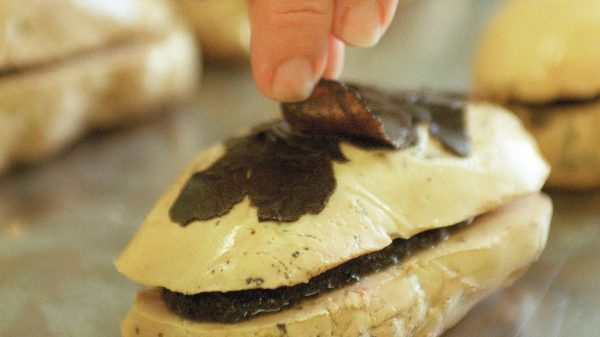 Foie gras d'oie frais aux truffes 14%