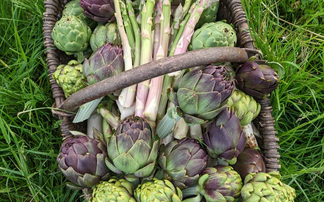 Cinq façons de voir un plat : 2. Les ingrédients