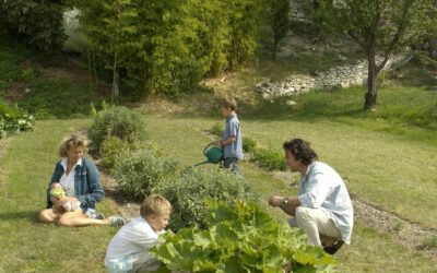 Des compromis à Noël ?