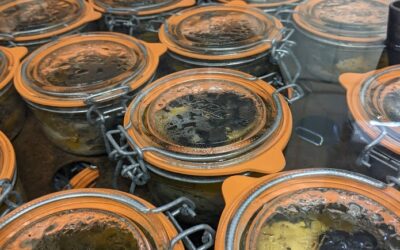 14 % de truffe ou rien : voilร notre Black Friday