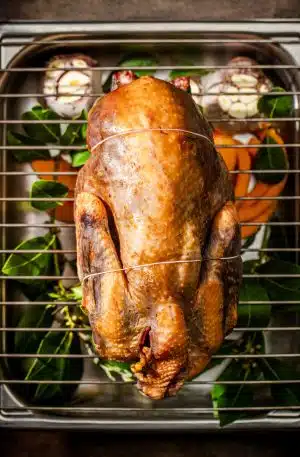 La pintade de Nicolas
