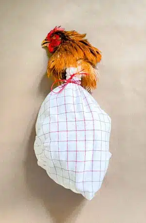 La Poularde de Nicolas