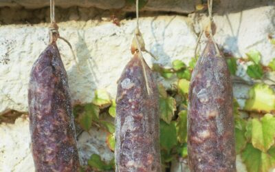 Le point commun entre le saucisson et vos mycoses