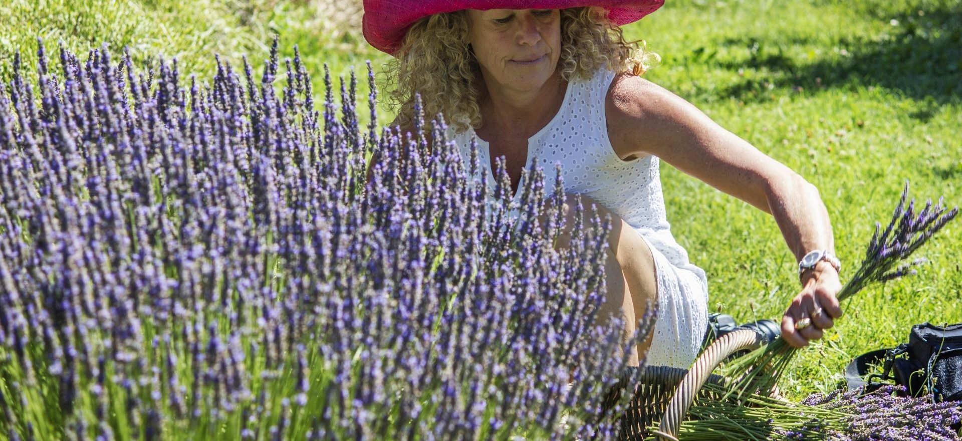 Baume à lèvres à la Lavande bio Sain & Doux – Image 4