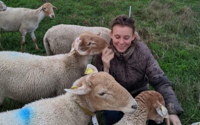 J'ai une triste nouvelle