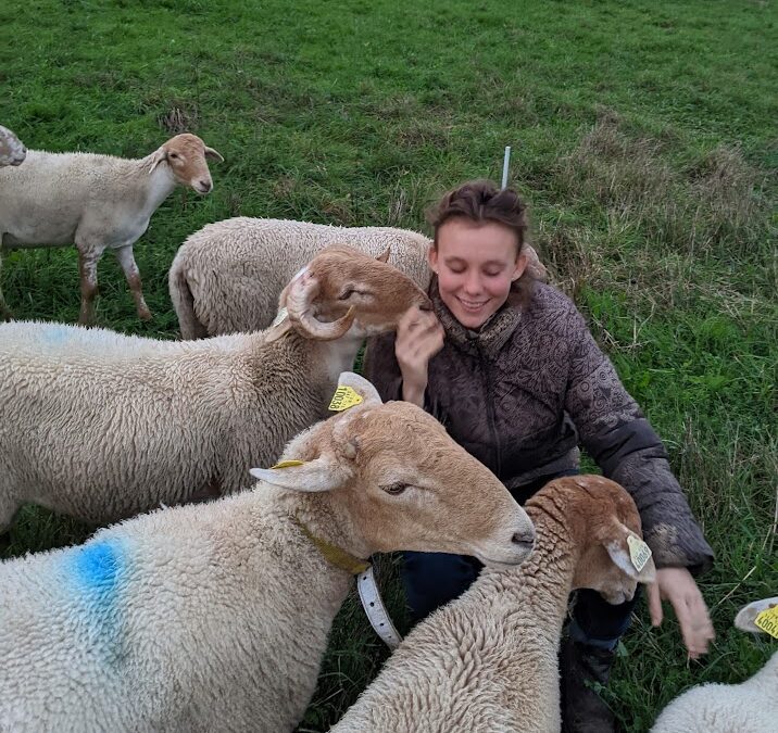 J'ai une triste nouvelle