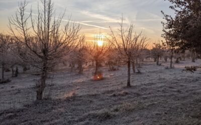 Ma pire expérience gastronomique
