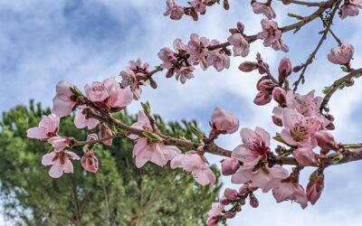 Quand la météo nous surprend (et nous unit)