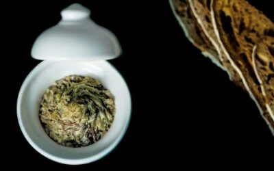 Blonde ou brune : la vraie rillette au chaudron