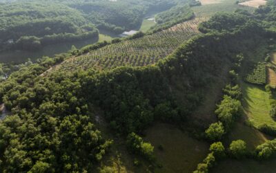 Le faux mythe de l'abondance