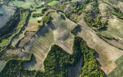 1958 : le début d’une révolution…