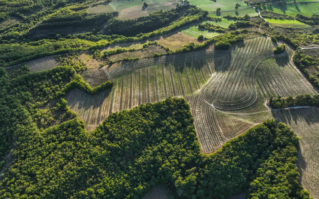 Les climats de Bourgogne