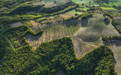 Les climats de Bourgogne