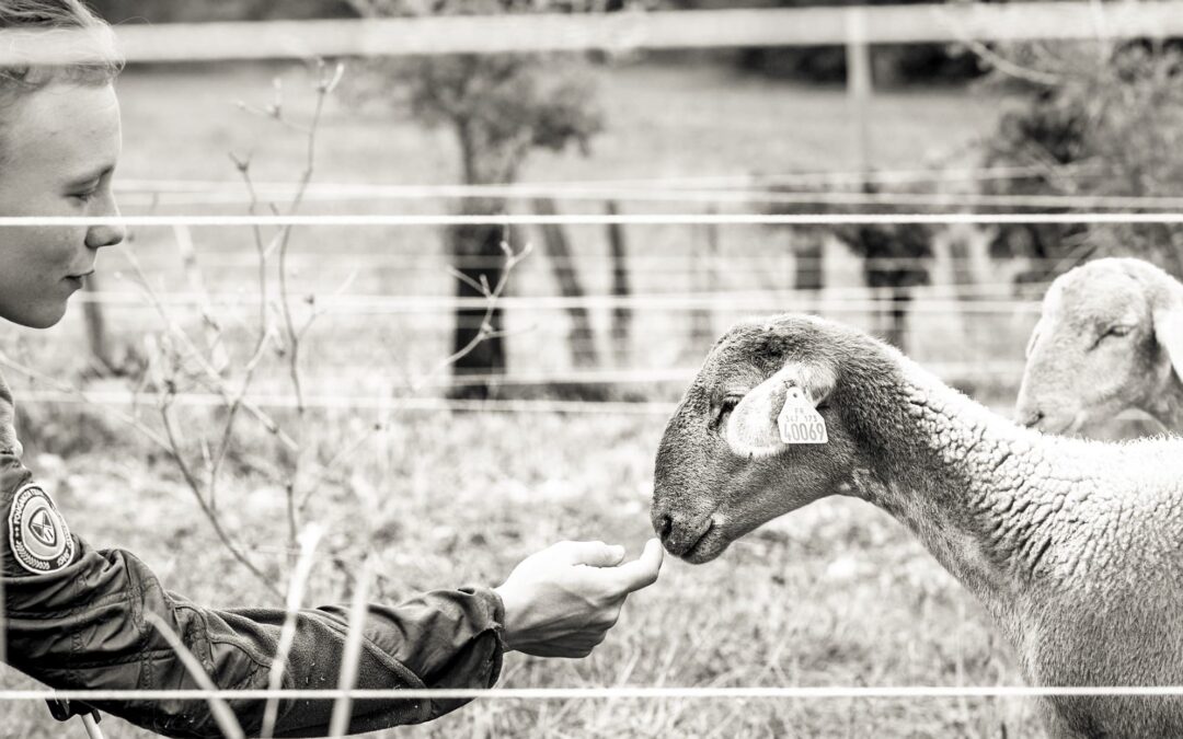 L'art de cultiver la terre
