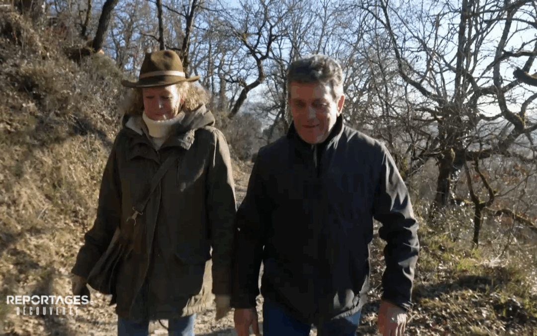 Reportages Découverte - TF1 - 20 septembre 2025 : Du faux dans nos assiettes