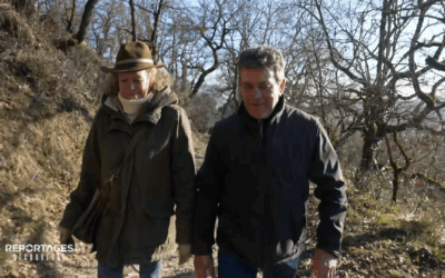 Reportages Découverte - TF1 - 20 septembre 2025 : Du faux dans nos assiettes